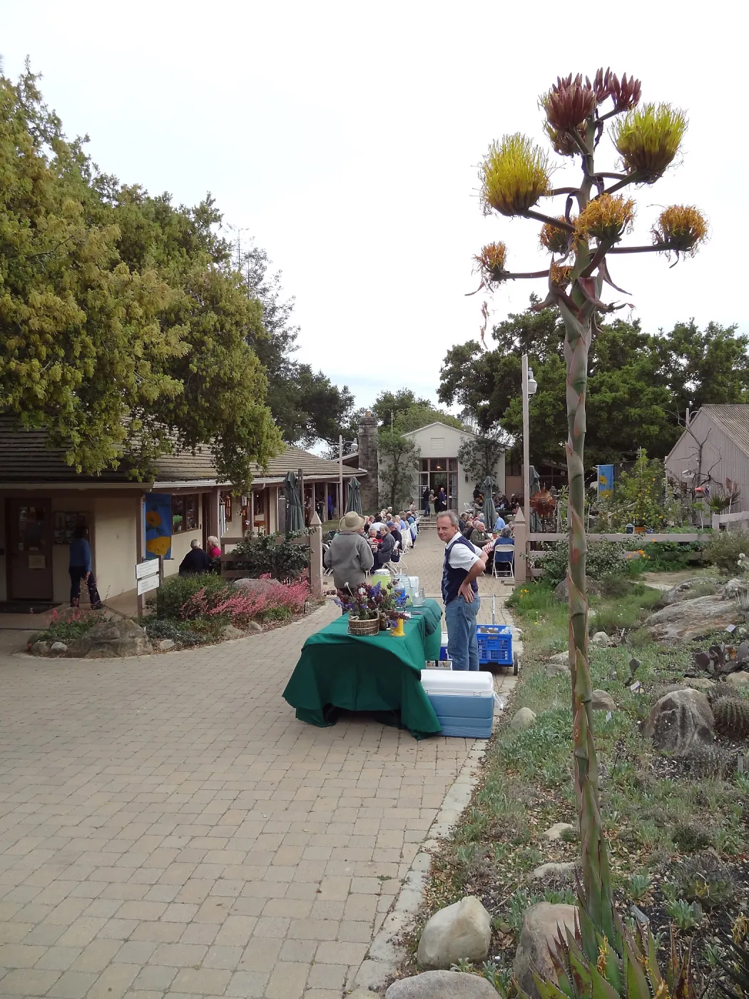 at the SBBG Members Picnic 2013