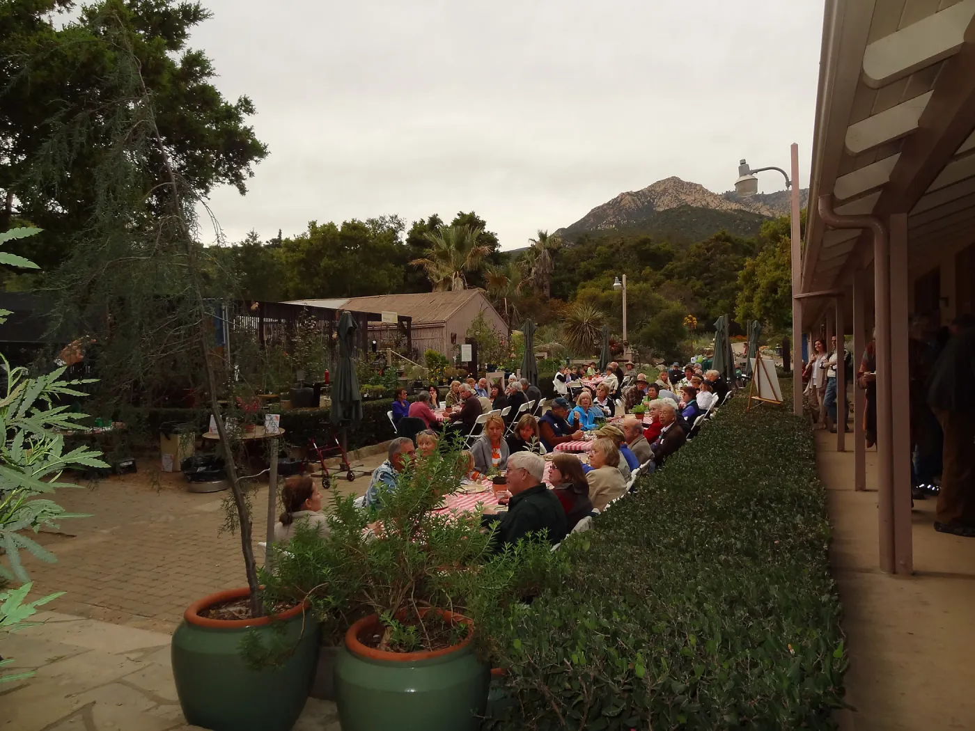 at the SBBG Members Picnic 2013
