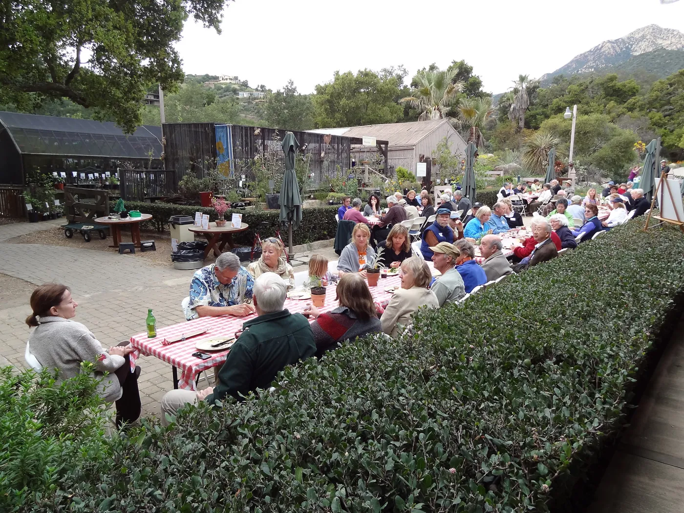 at the SBBG Members Picnic 2013