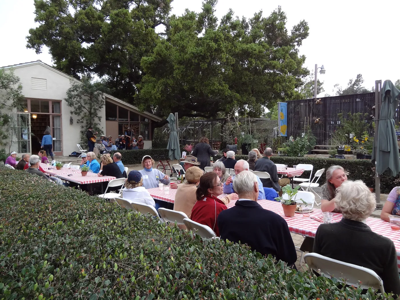 at the SBBG Members Picnic 2013