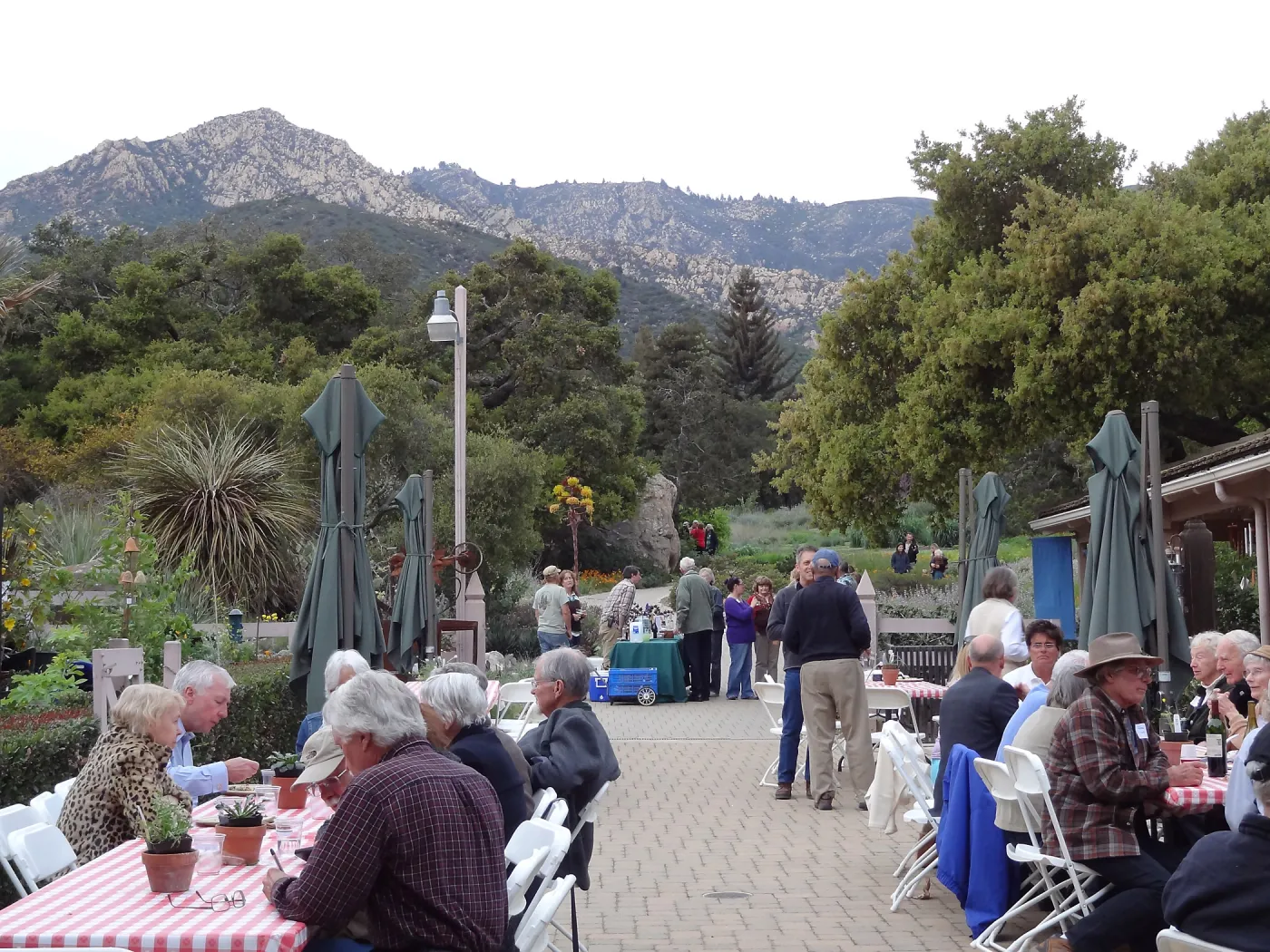 at the SBBG Members Picnic 2013
