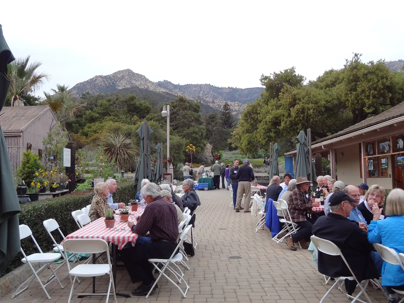 at the SBBG Members Picnic 2013