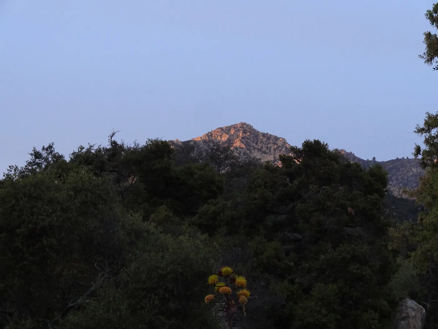 Arlington Peak at sunset