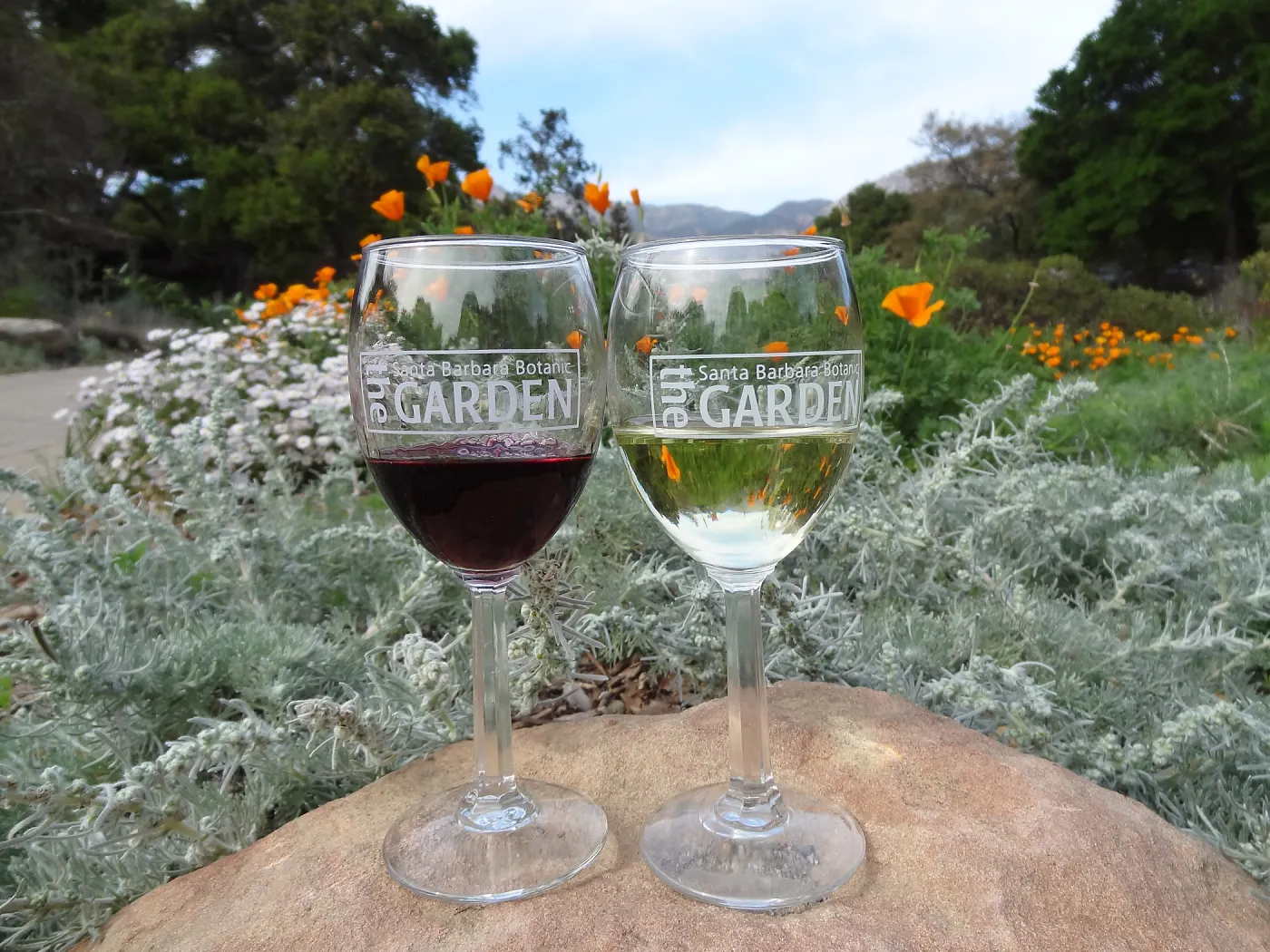 Garden wine glasses in the Meadow, reflection, wildflowers, sandstone boulder