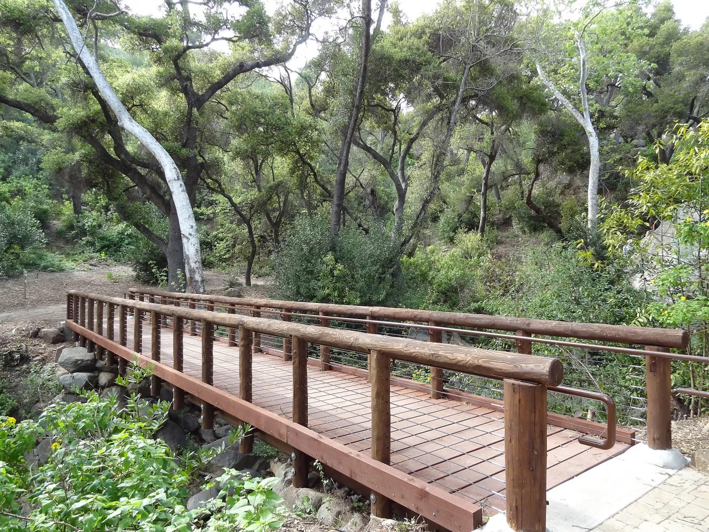 new Campbell Bridge, March 2013