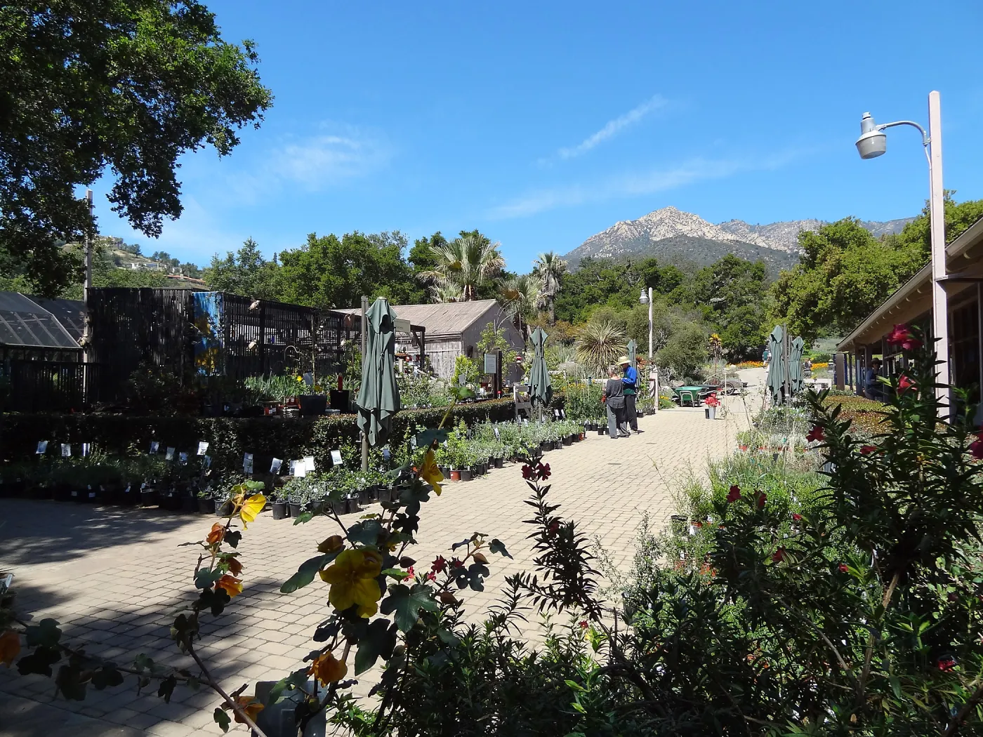 Spring Plant Sale