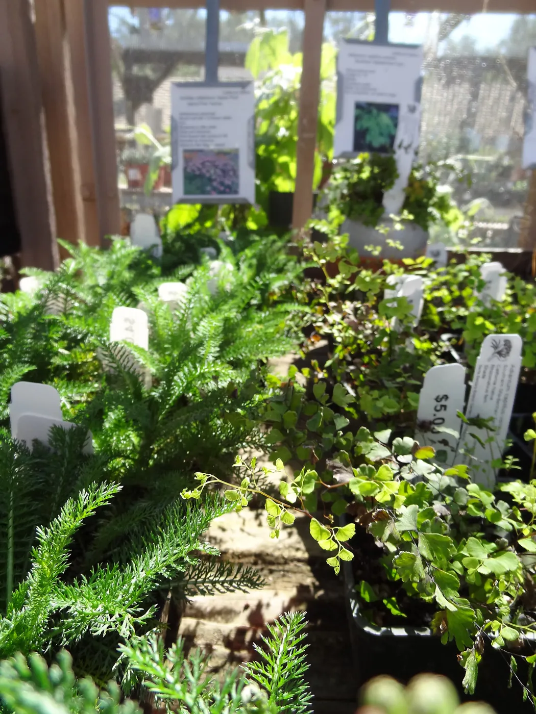 Spring Plant Sale 2013