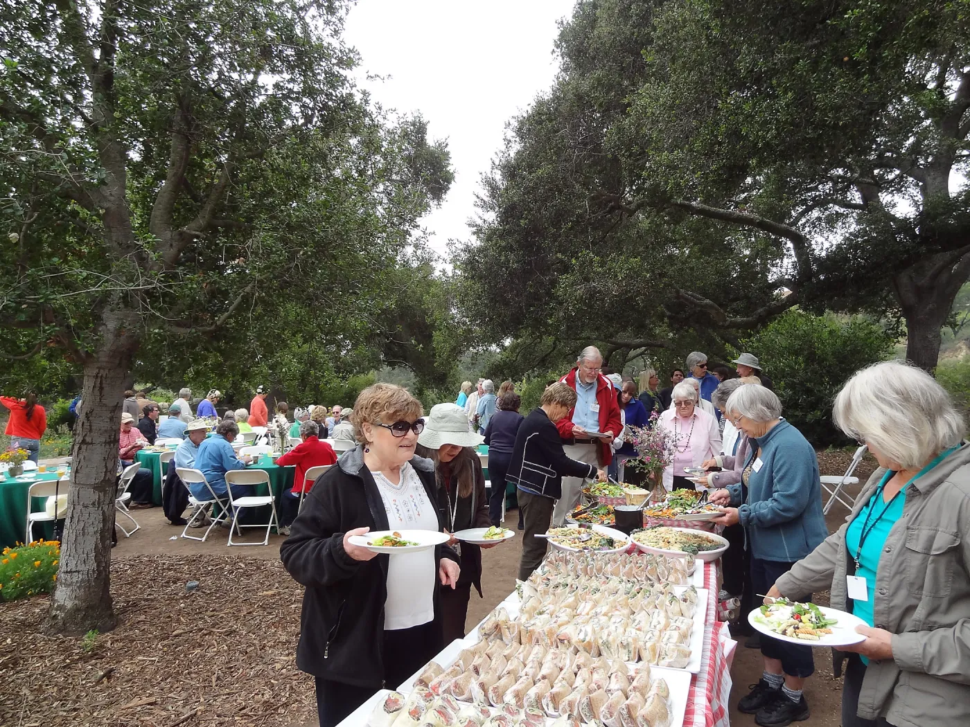 Volunteer Recognition event 2013, buffet table