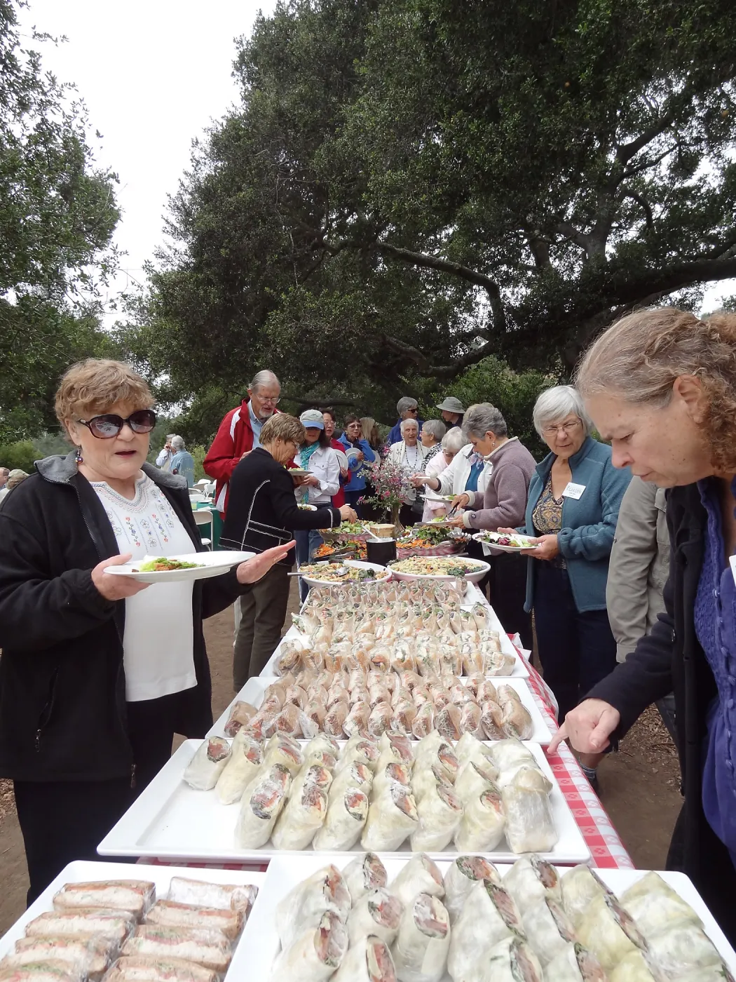 Volunteer Recognition event 2013, buffet table