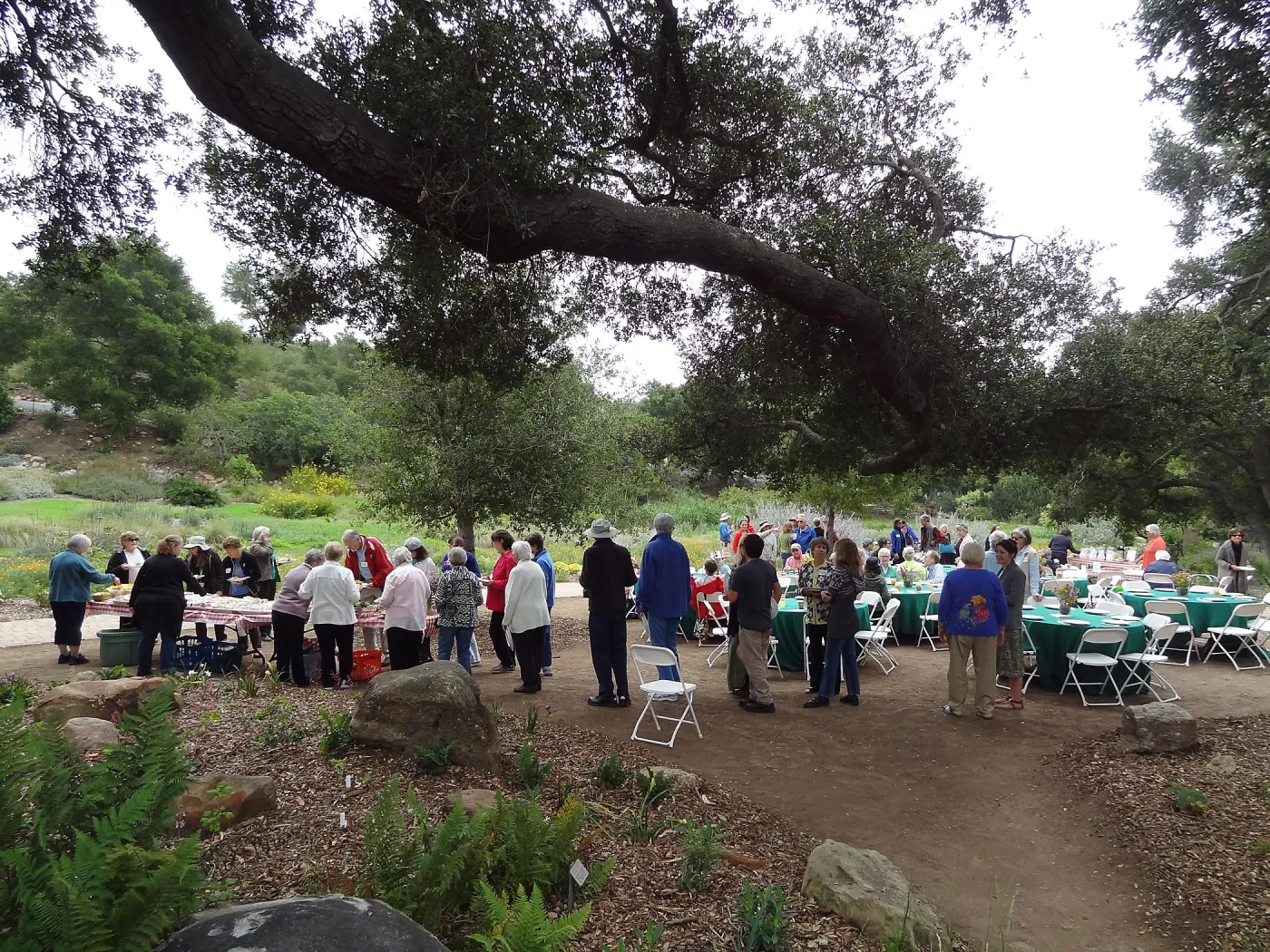 Volunteer Recognition event 2013, buffet table