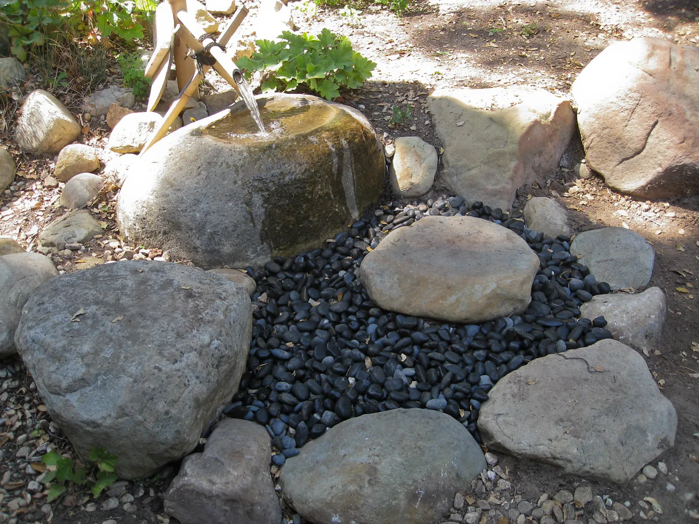 Tsukubai at the Teahouse