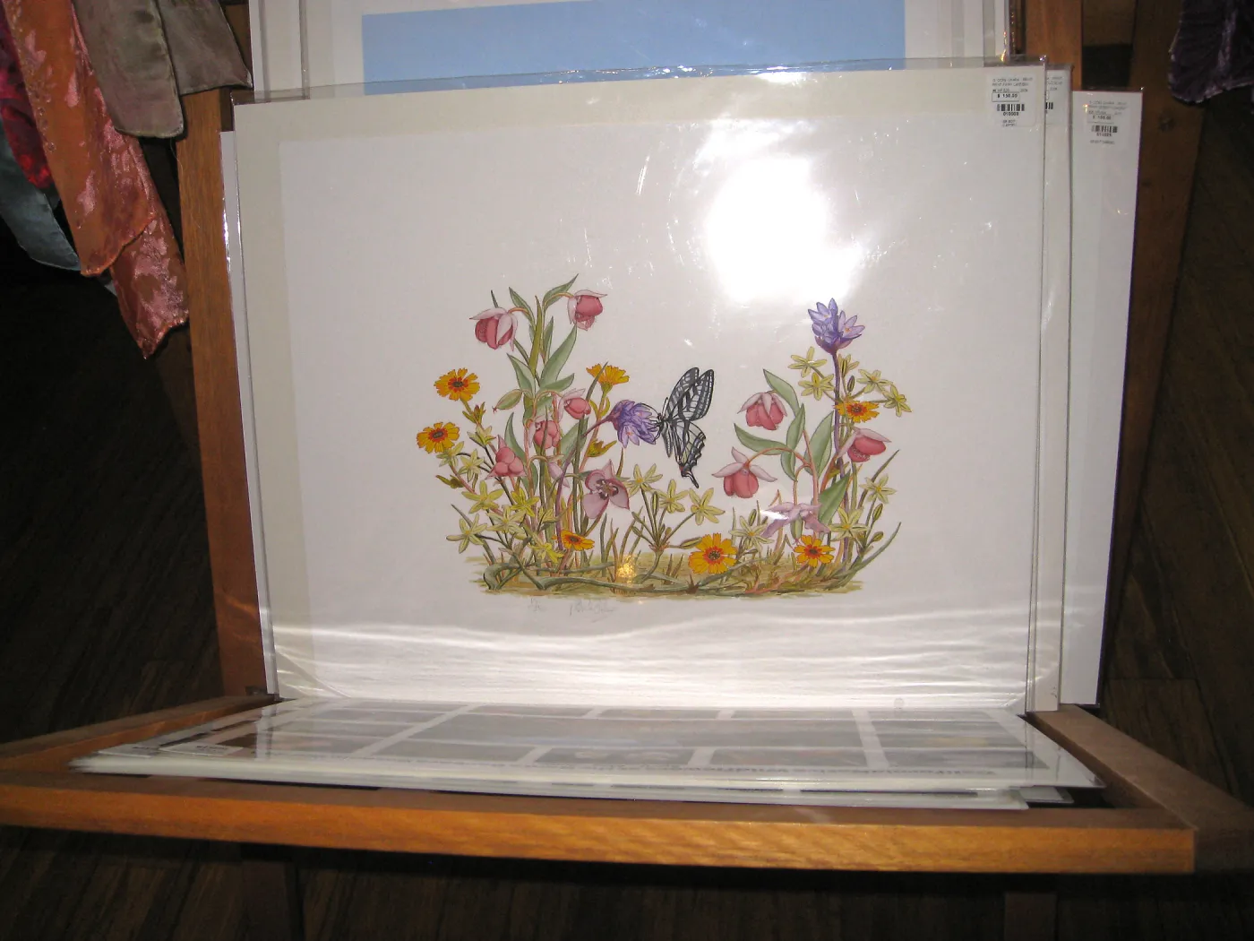 Patrick O'Hara print for sale in Garden Shop