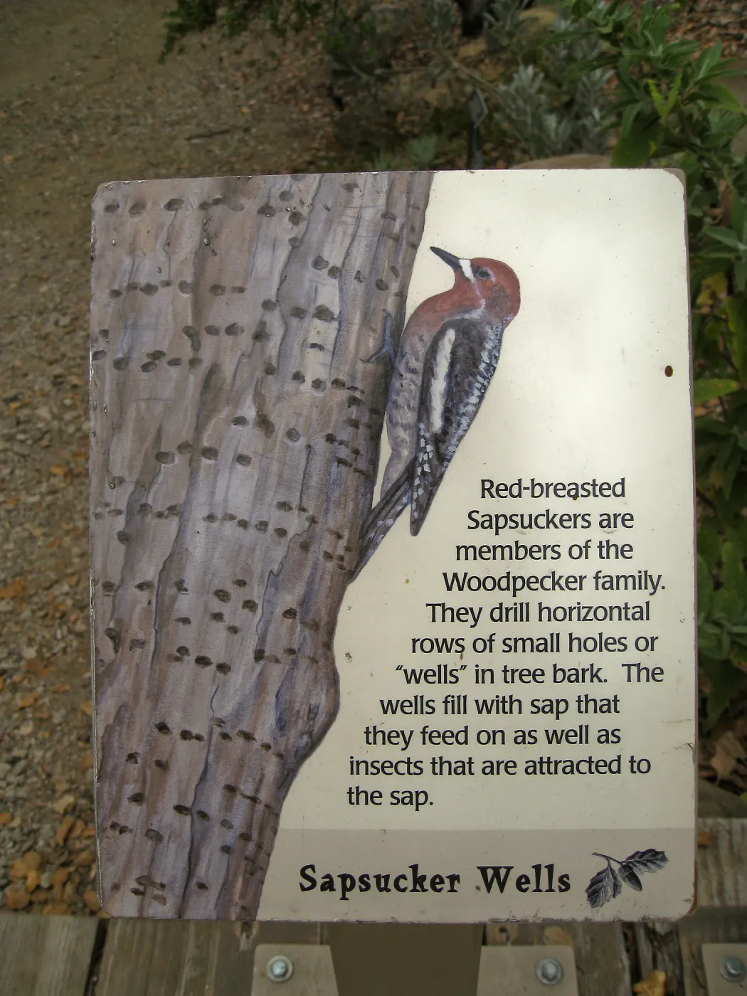Signage in the Discovery Garden in the Arroyo