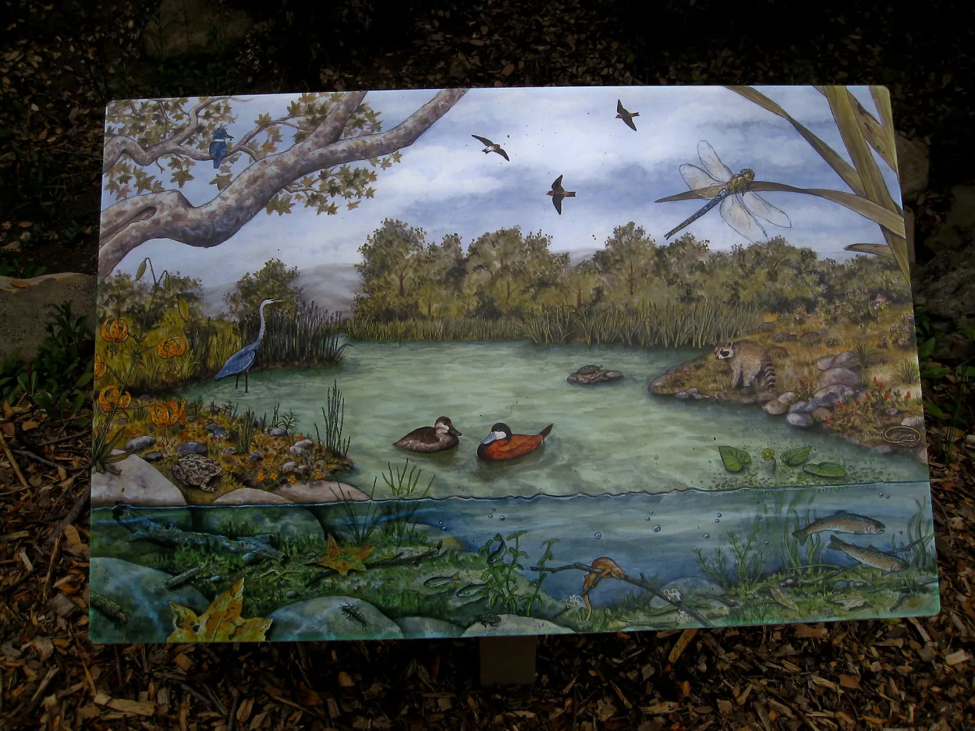 Signage in the Discovery Garden in the Arroyo