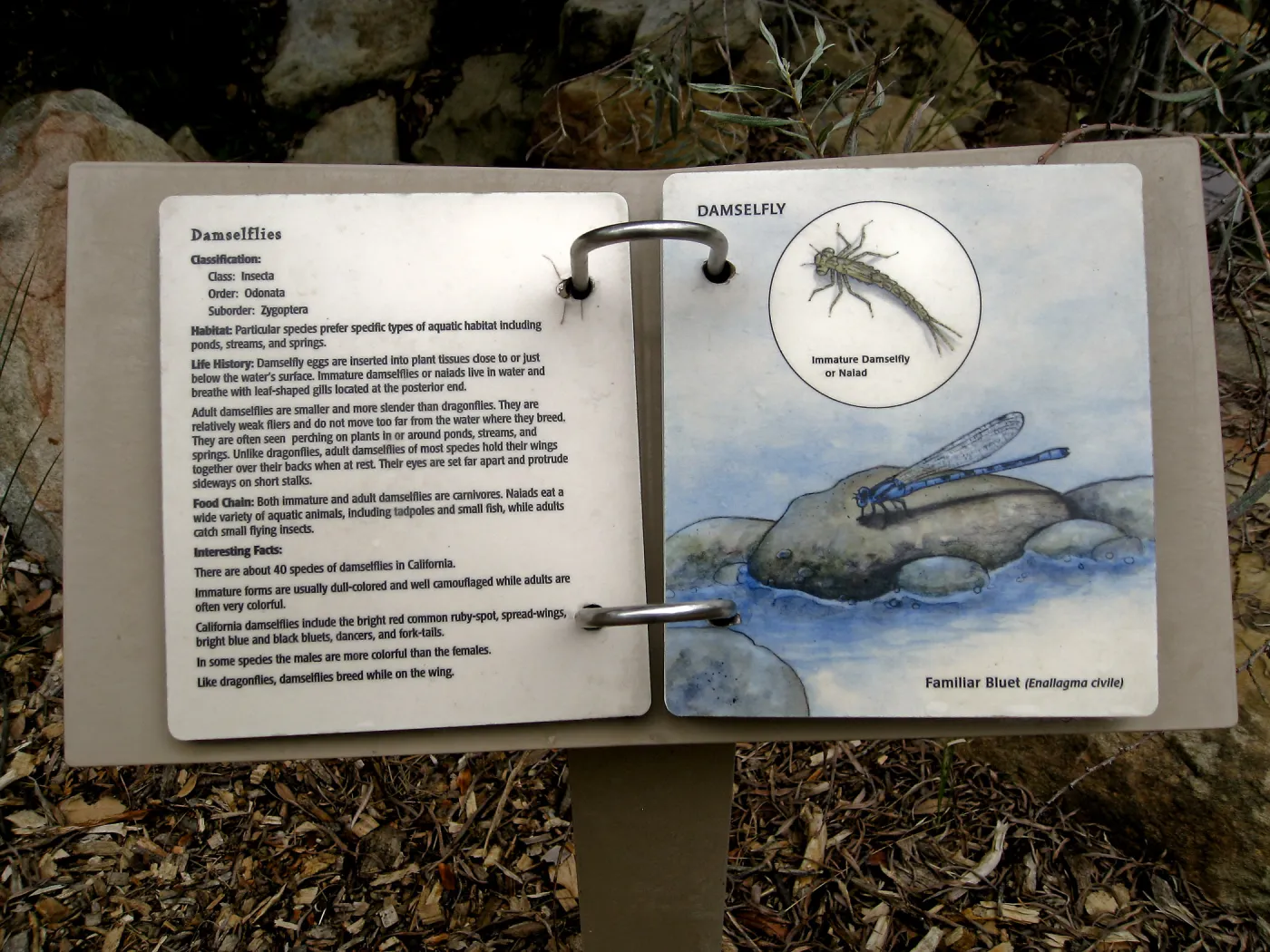 Signage in the Discovery Garden in the Arroyo