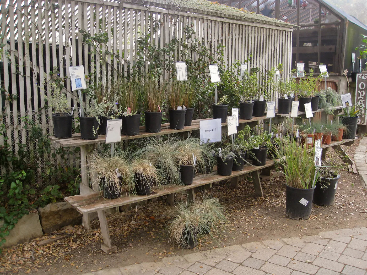 Bargin plant shelf at Garden Growers Nursery