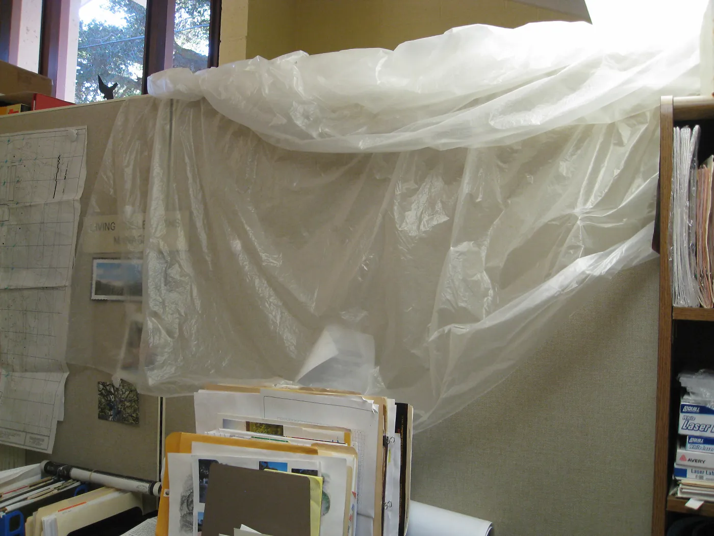 Plastic sheet for leaky roof in Herbarium