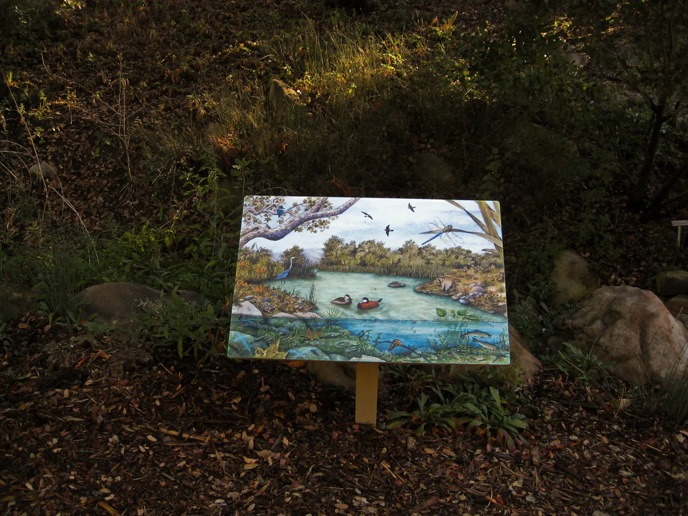 Discovery Garden sign, SBBG
