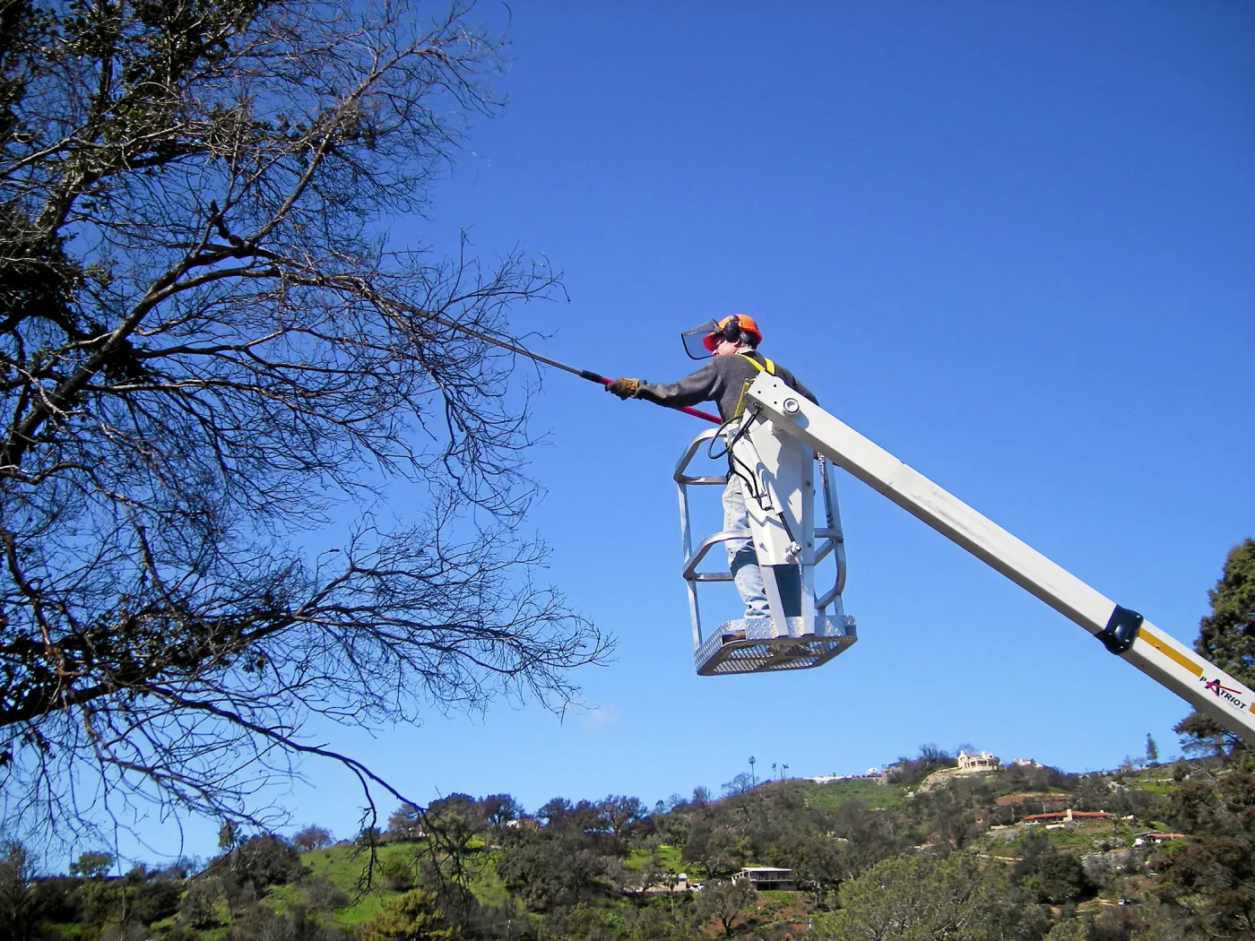 New cherry picker lift from 2009 Stanley Smith Grant