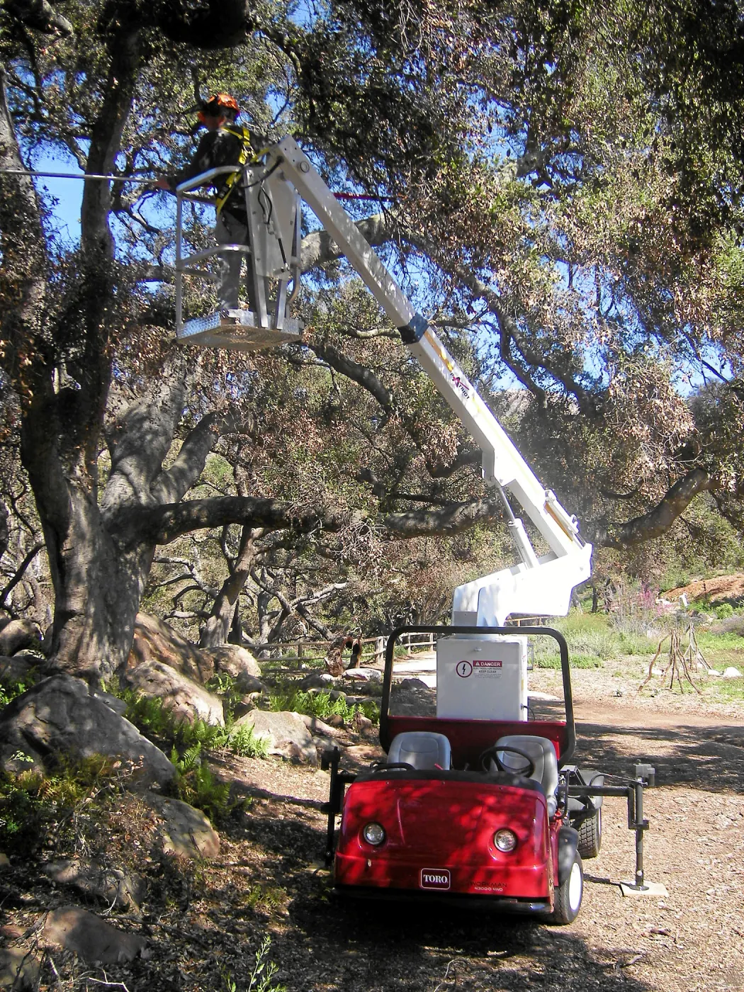 New cherry picker lift from 2009 Stanley Smith Grant
