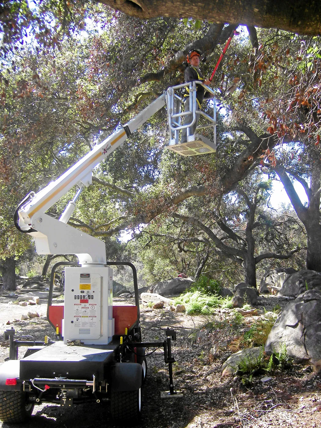 New cherry picker lift from 2009 Stanley Smith Grant