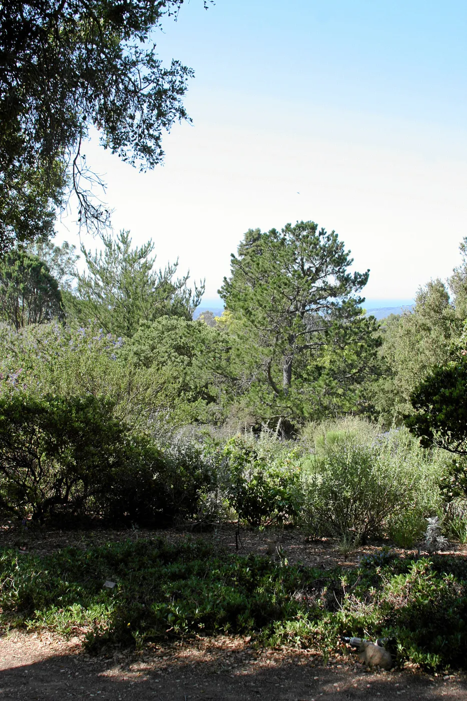 Porter Trail,East path, southwest