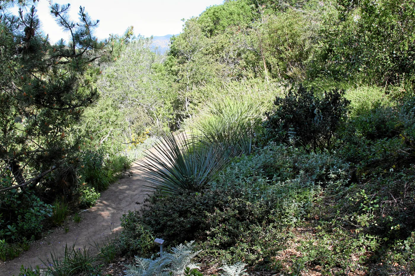 Porter Trail, North Switchback, North