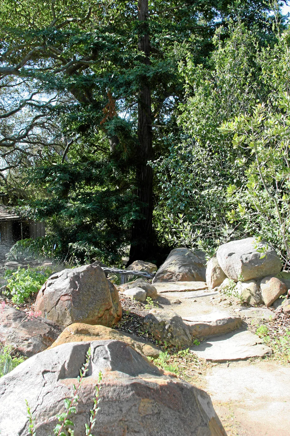 Brook,Top path south