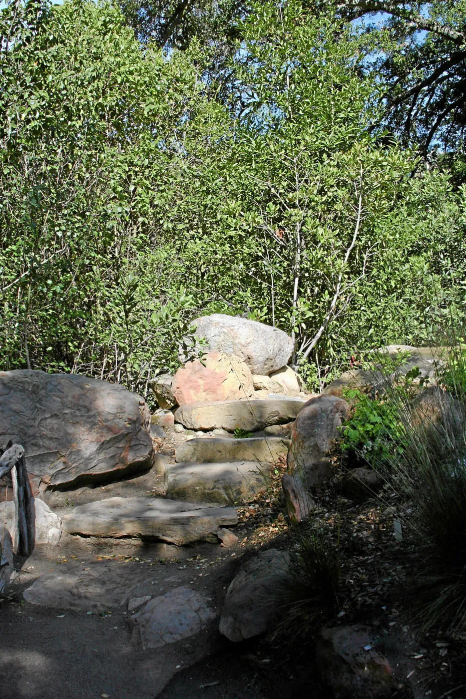 Meadow, stone steps
