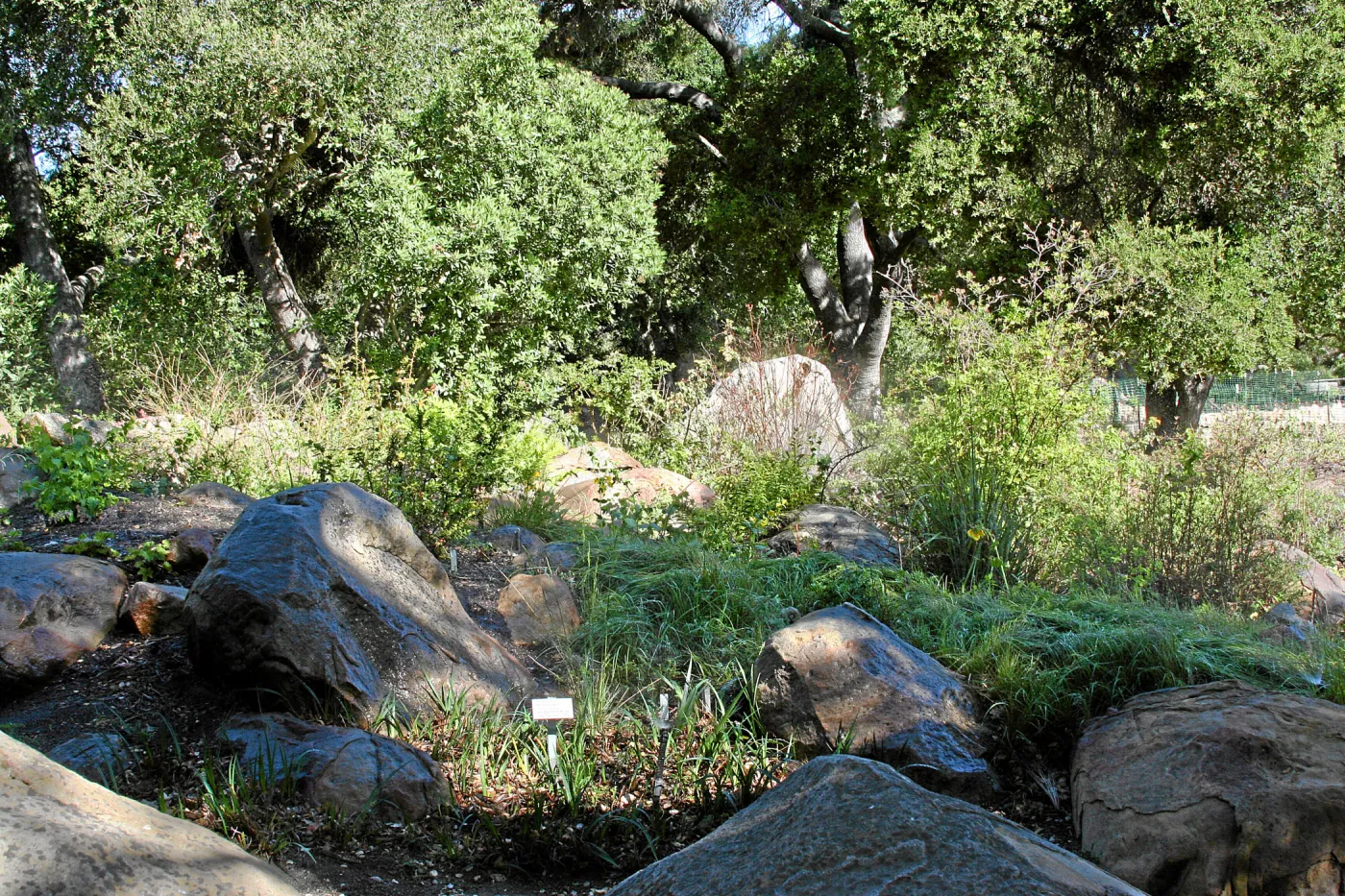 Brook, across display north