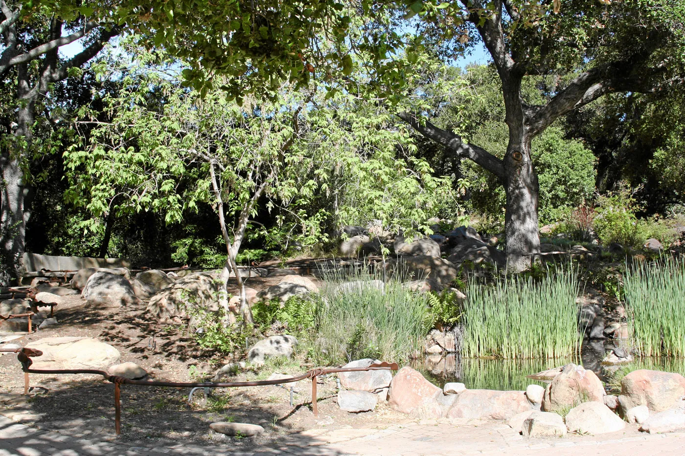 Meadow, Pond from main path, northwest