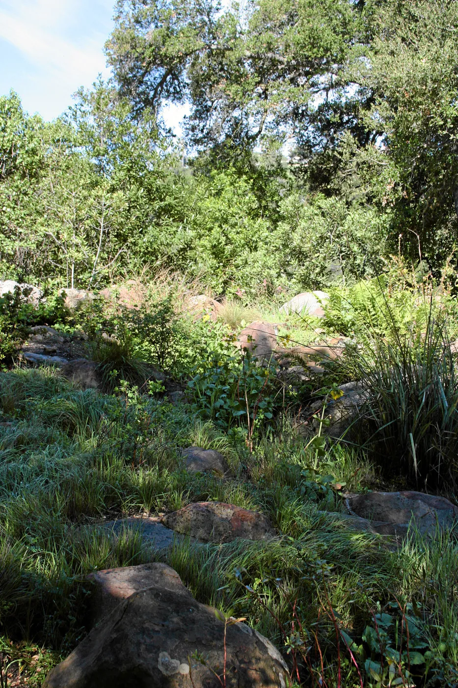 Brook over display, west