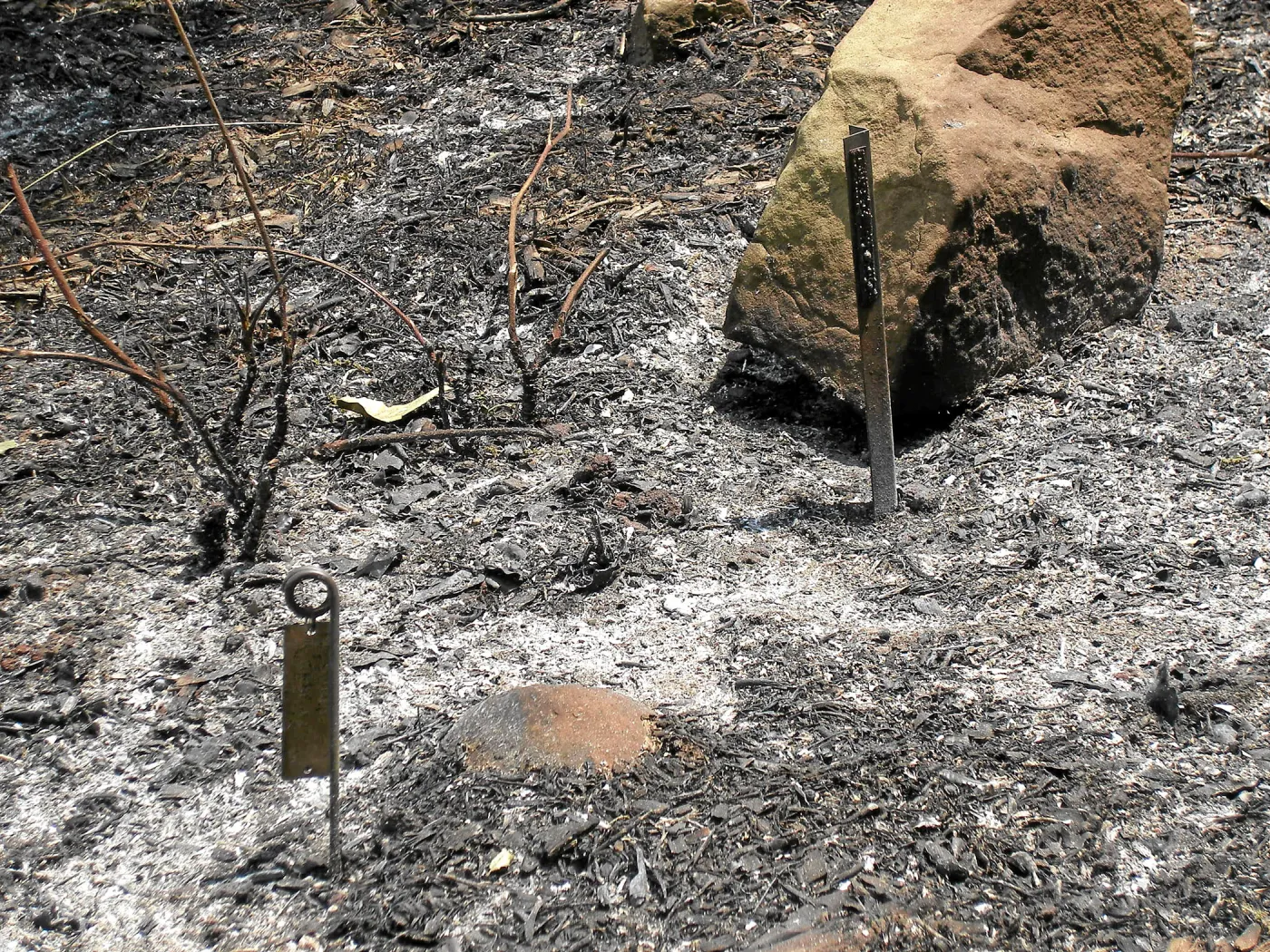 Jesusita Fire, accession stakes