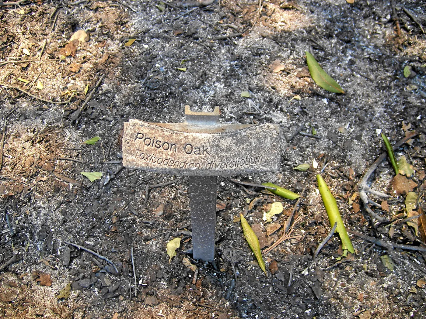 Jesusita Fire, melted public information label