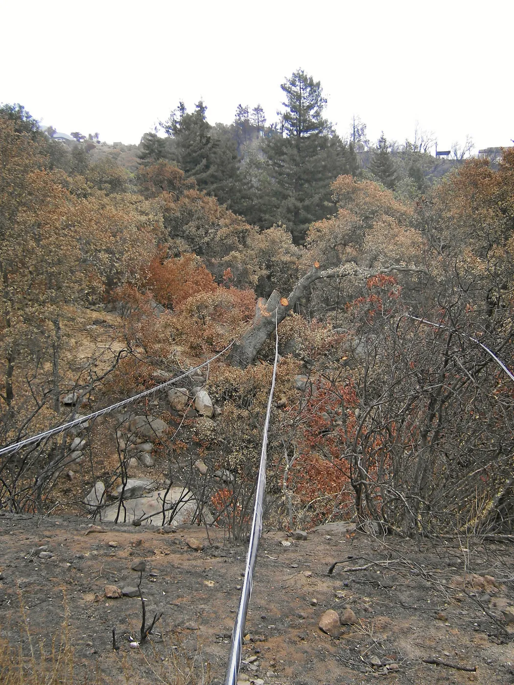 Jesusita Fire clearance