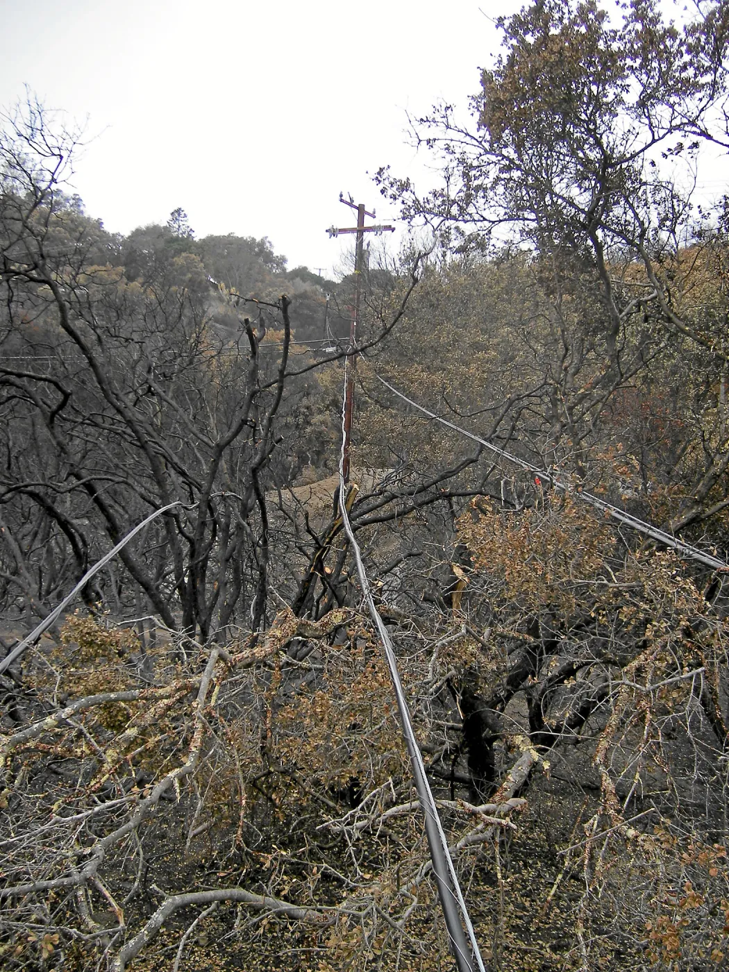 Jesusita Fire clearance