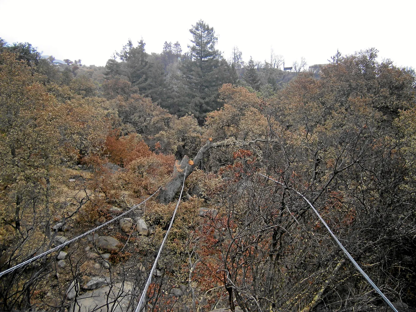 Jesusita Fire clearance