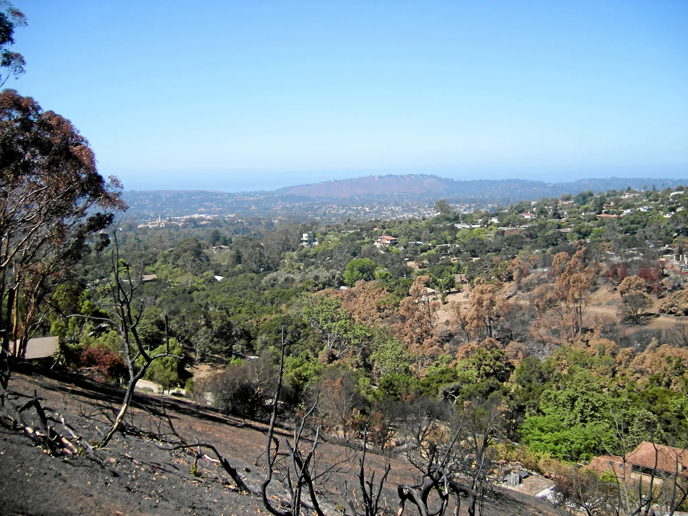View of Jesusita Fire damage from Cavalli Ridge