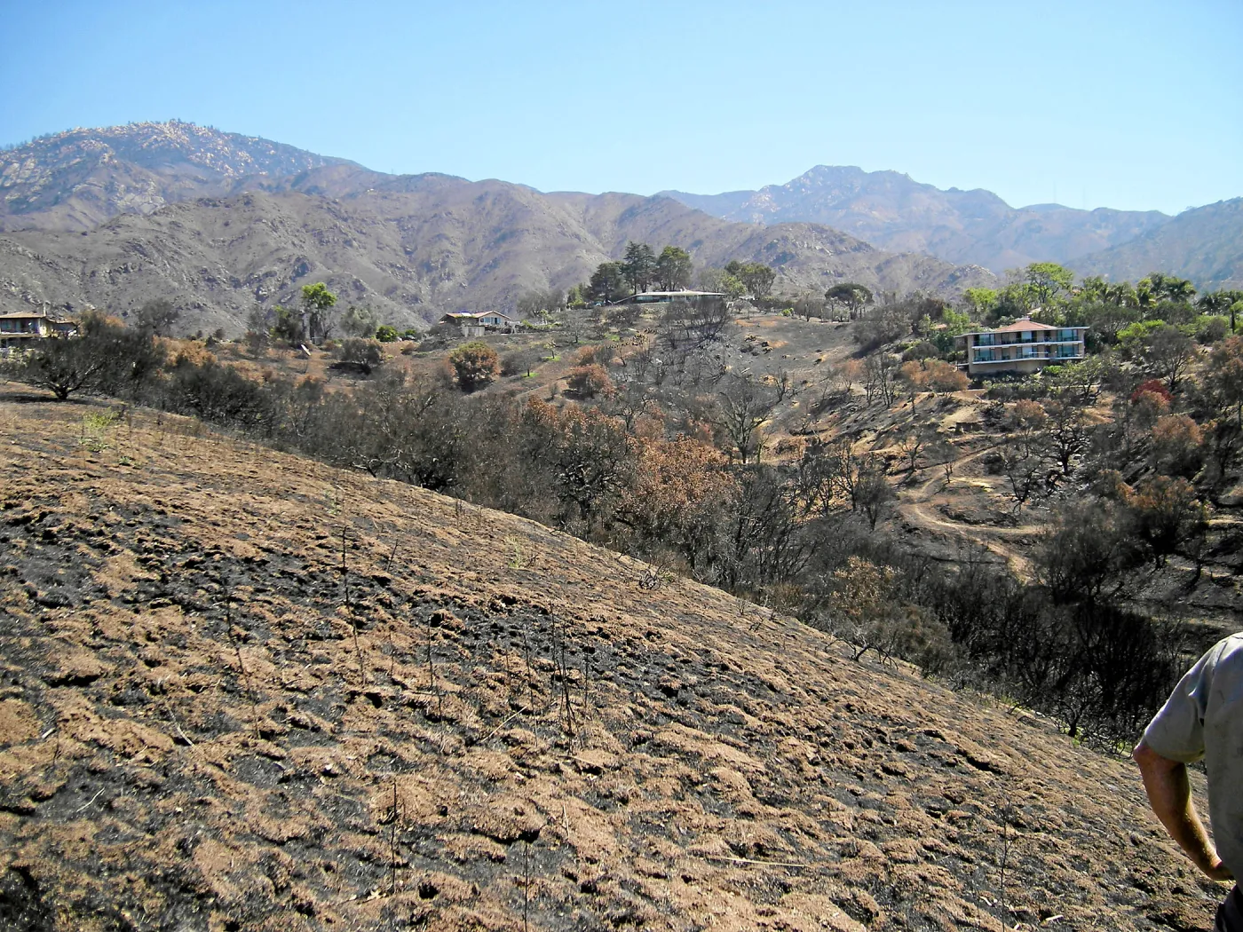 View of Jesusita Fire damage from Cavalli Ridge