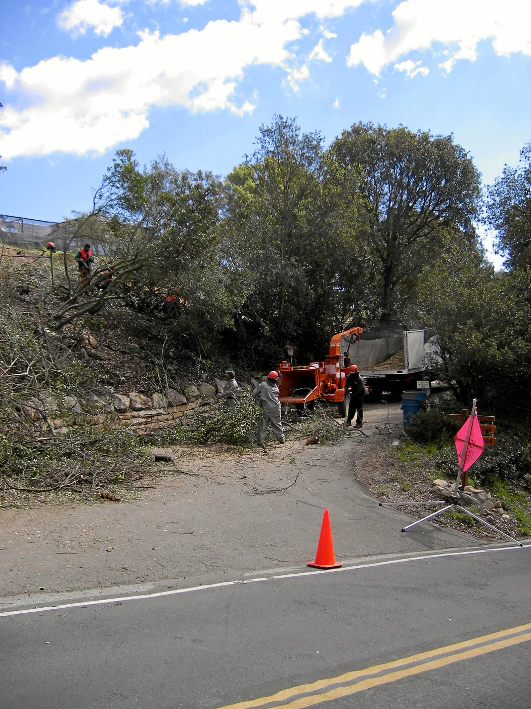 Completed fire clearance of brush at SBBG