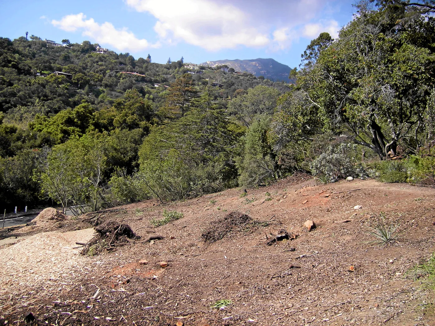 Completed fire clearance of brush at SBBG