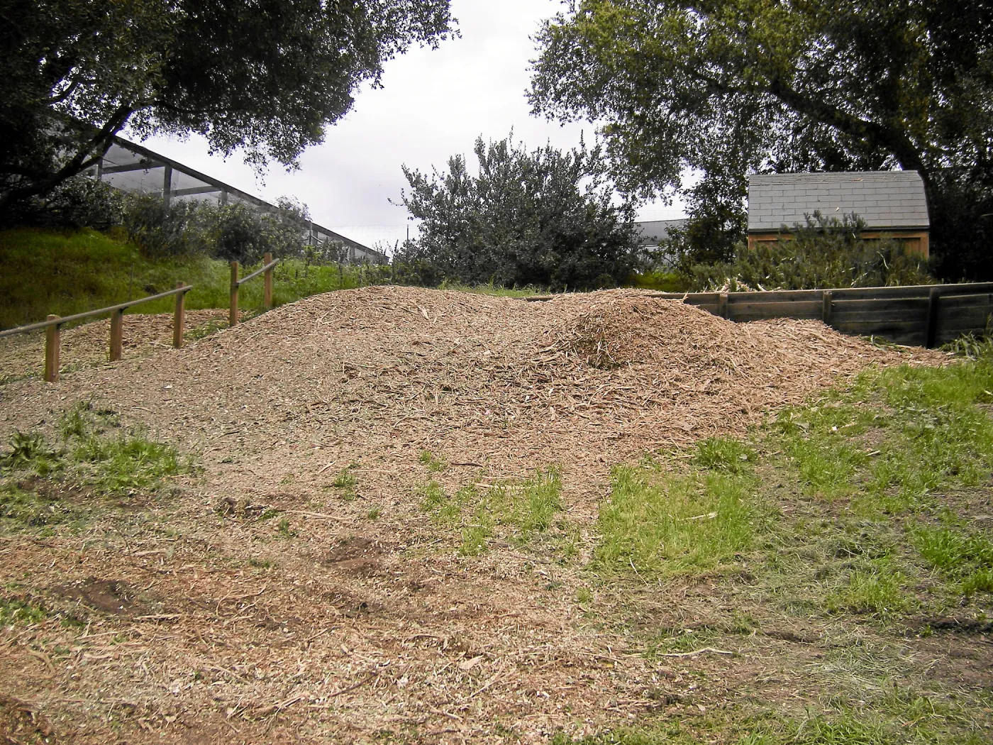 Fire clearance of brush at SBBG