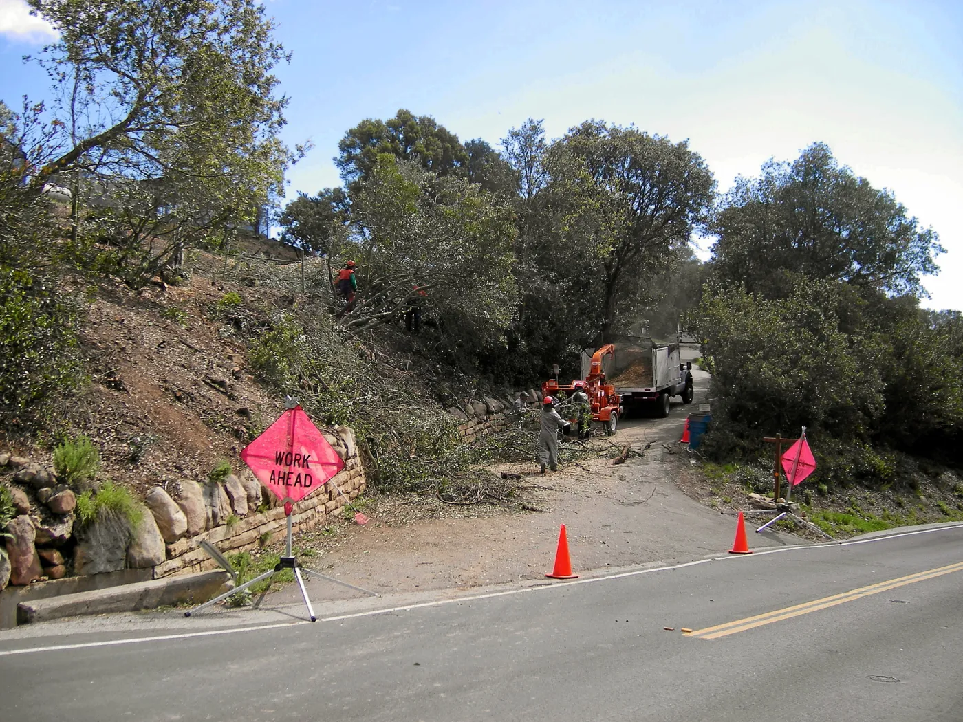 Fire clearance of brush at SBBG