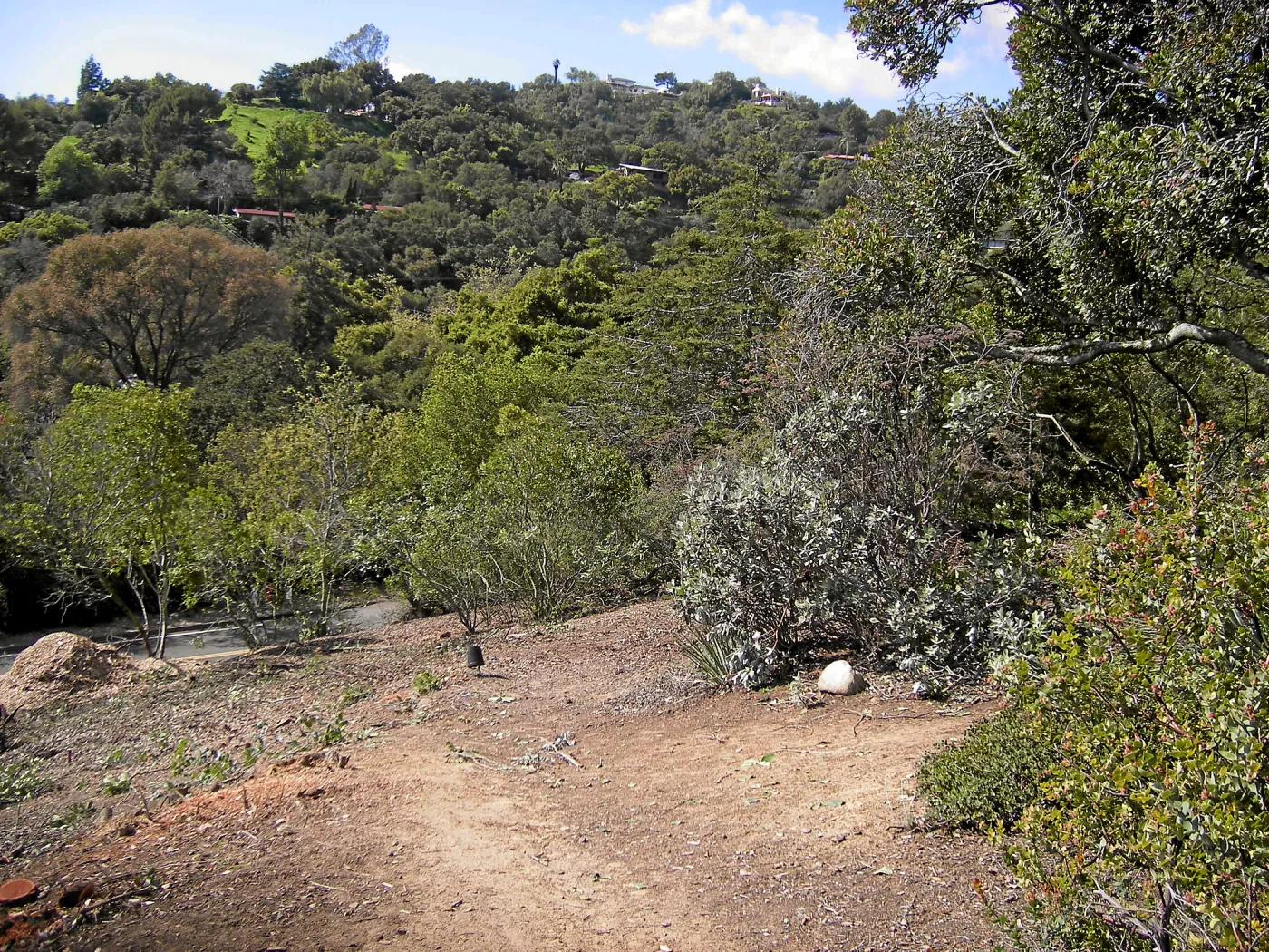 Fire clearance of brush at SBBG