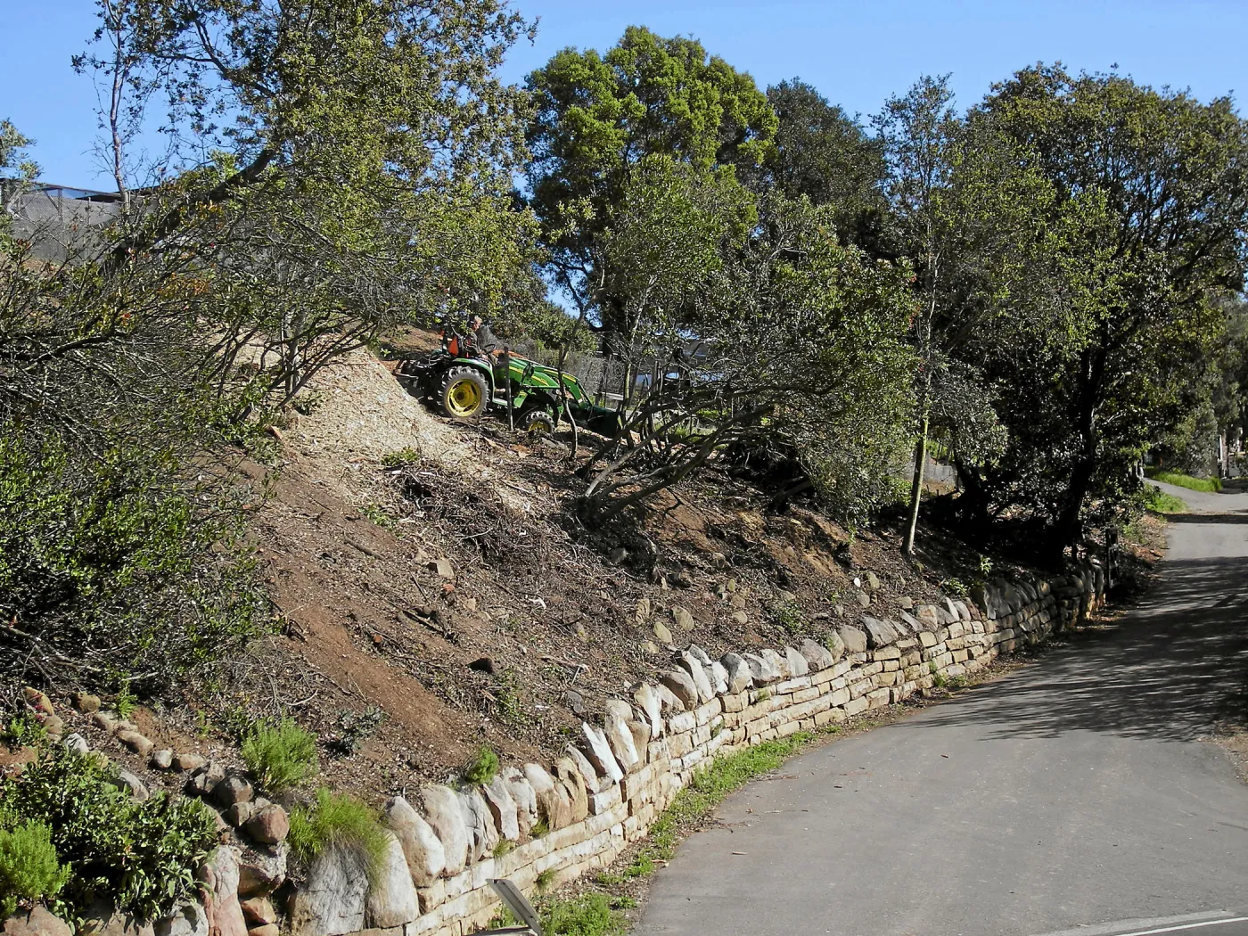 Fire clearance of brush at SBBG