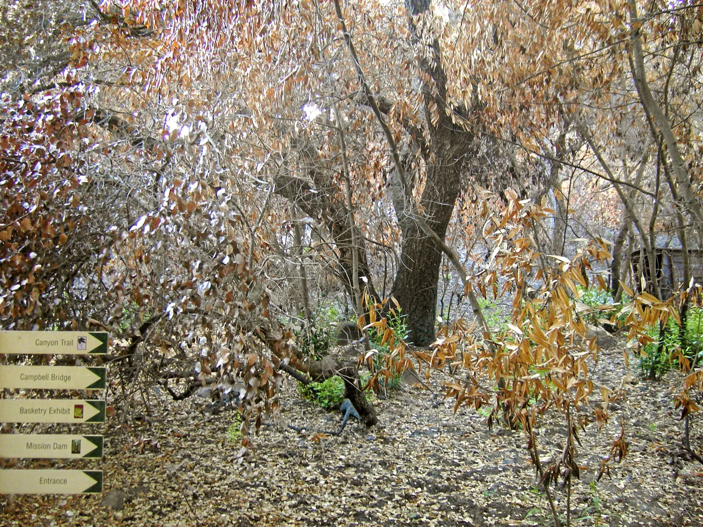 Trail markers, after the Jesusita Fire