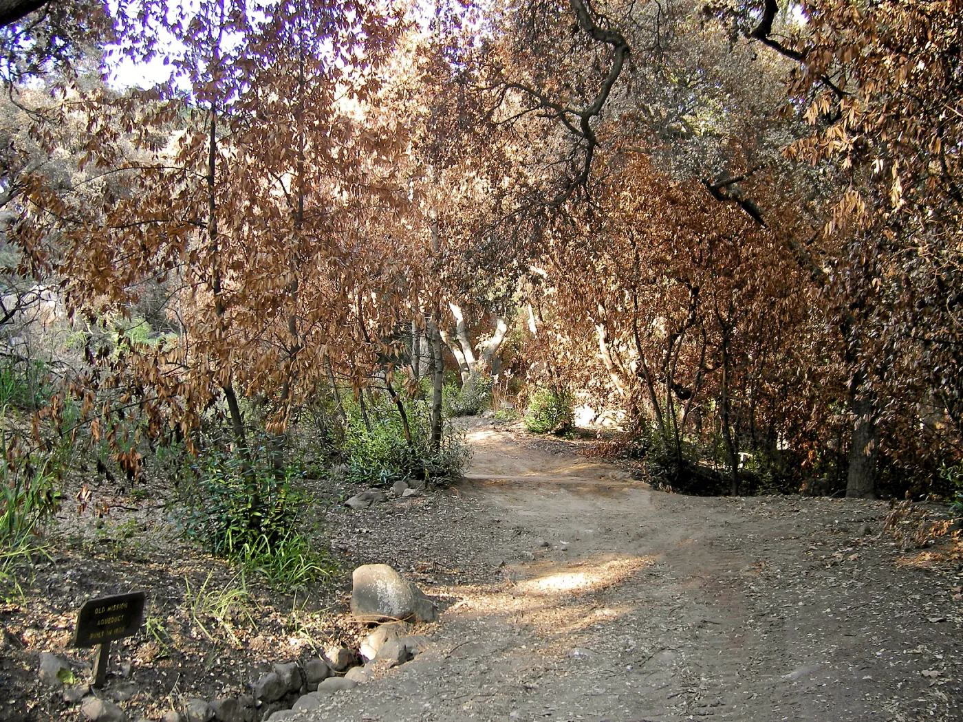 Aqueduct, Canyon Trail, after Jesusita Fire