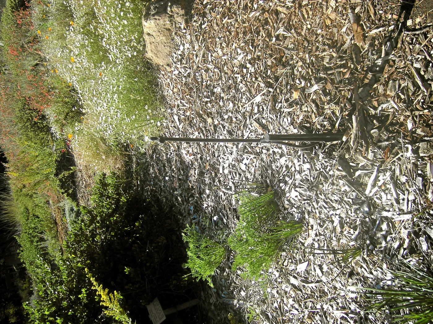 Irrigation press pictures