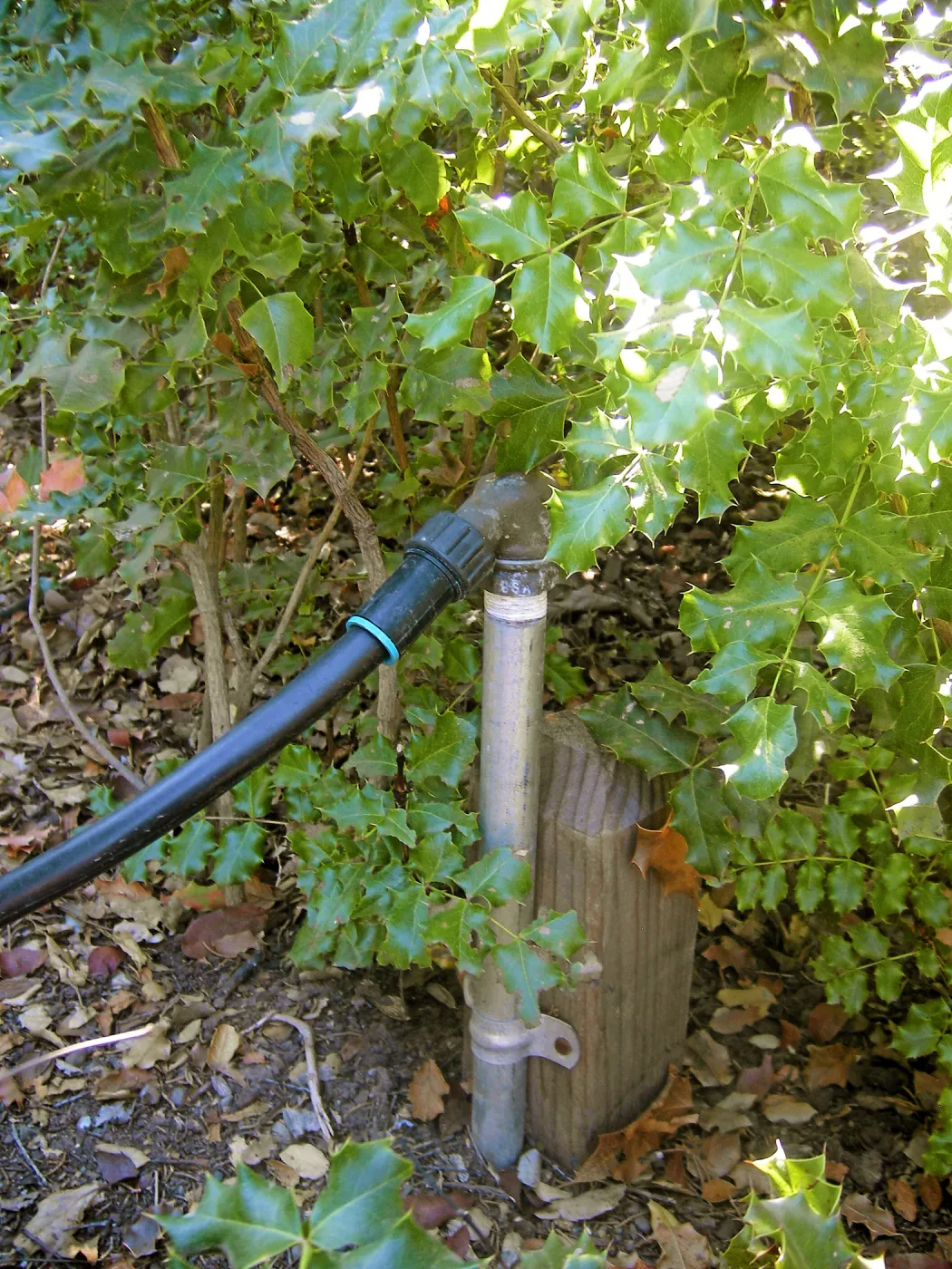 Irrigation press pictures