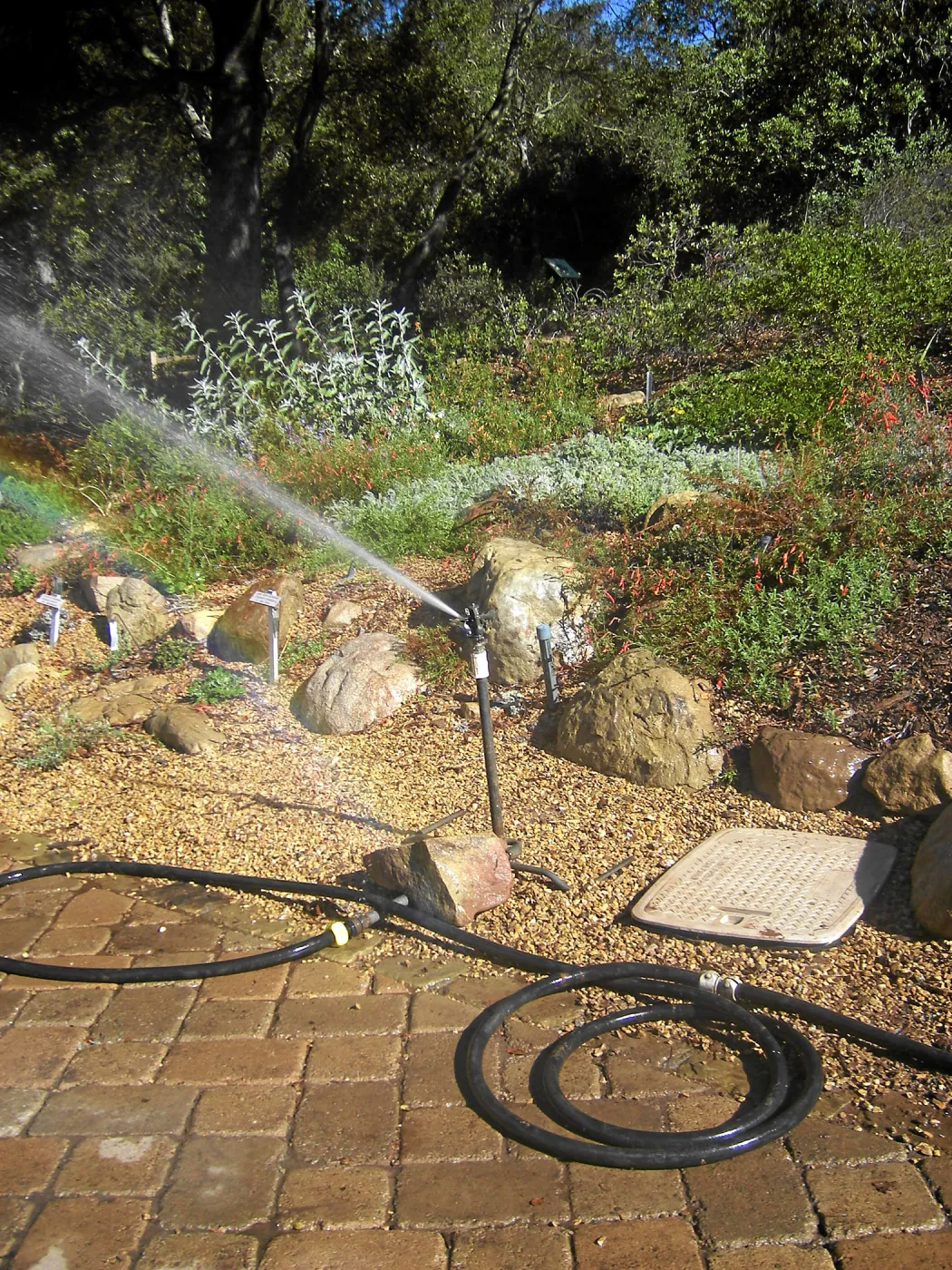 Irrigation press pictures